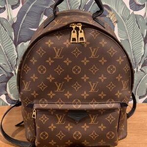 Louis Vuitton Monogram Palm Springs MM Backpack